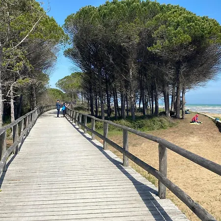 Elegant Seafront In *